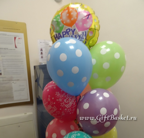 �������� 31.01.2016