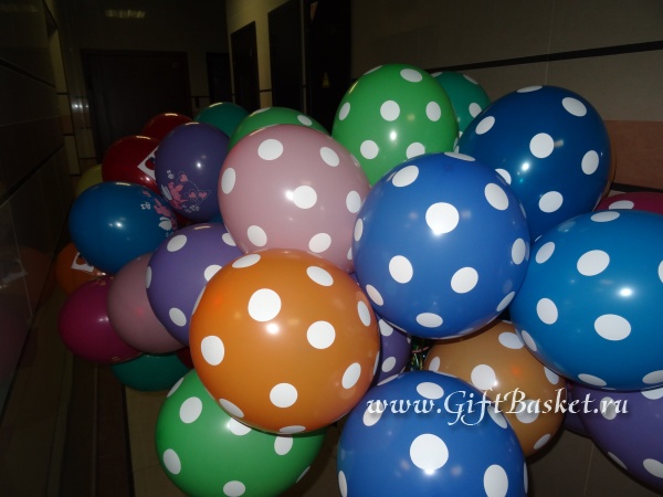 �������� 13.04.2016