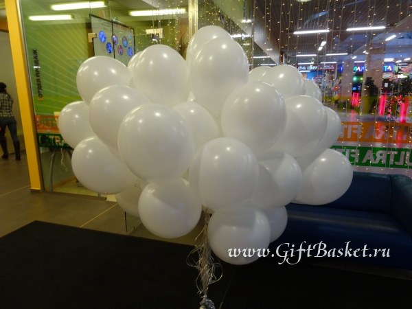 �������� 13.02.2016