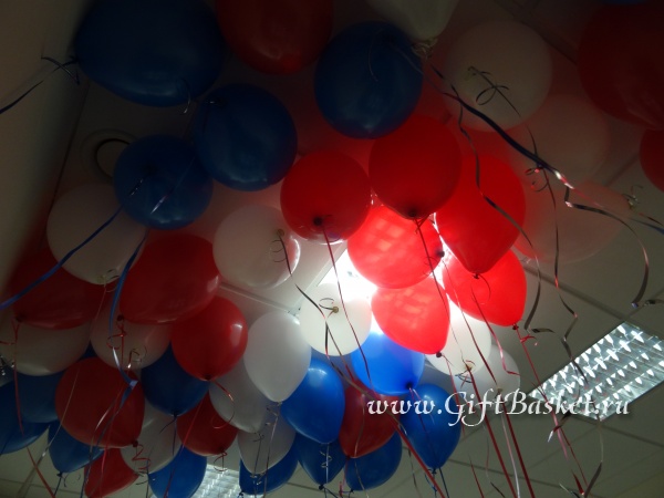 �������� 24.02.2016