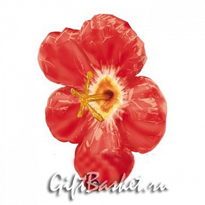 Фигурный шар из фольги "Гибискус красный"