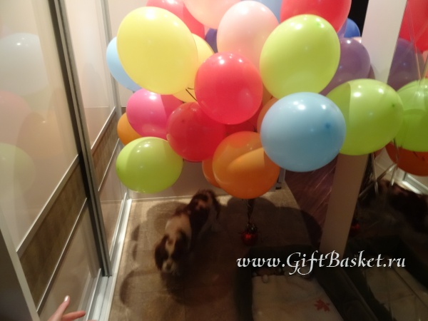 �������� 03.06.2015