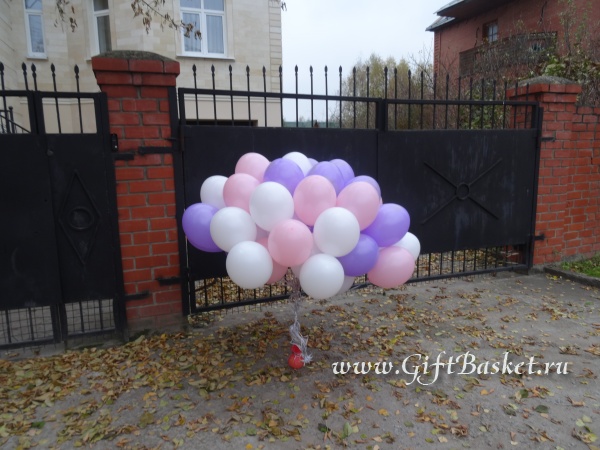 �������� 16.11.2015