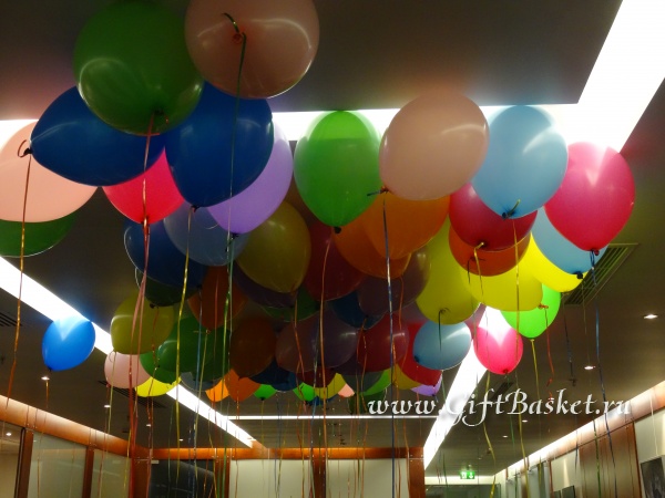 �������� 16.01.2016